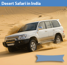 Desert tour in india