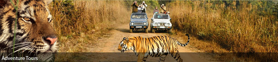 Adventure Tours