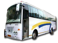 luxury bus