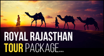 Royal Rajasthan Tours